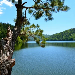 Berovo – glow of Eastern Macedonia