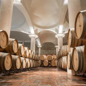 Stobi Wine Tour from Skopje