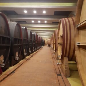 Tikves Wine Tour from Skopje