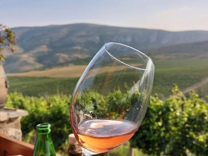 Wine Tour of Sopot Winery from Skopje - Image 5